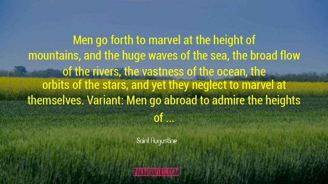 Reaching The Stars quotes by Saint Augustine