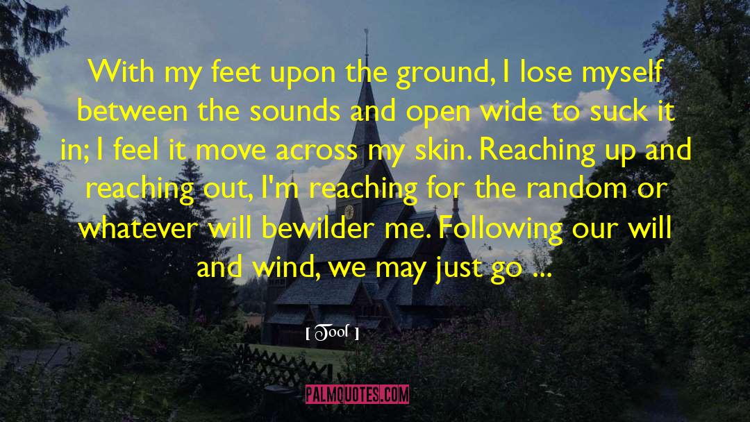 Reaching Up quotes by Tool
