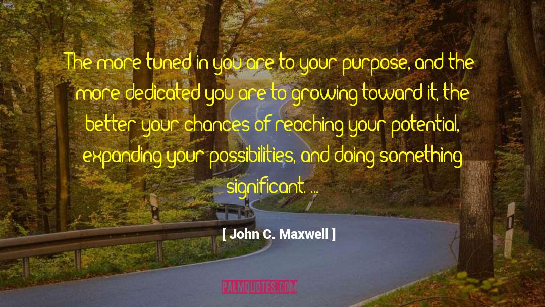 Reaching Your Potential quotes by John C. Maxwell