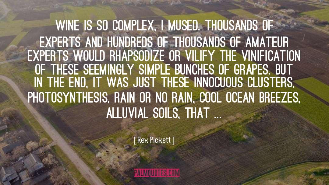 Reactants In Photosynthesis quotes by Rex Pickett