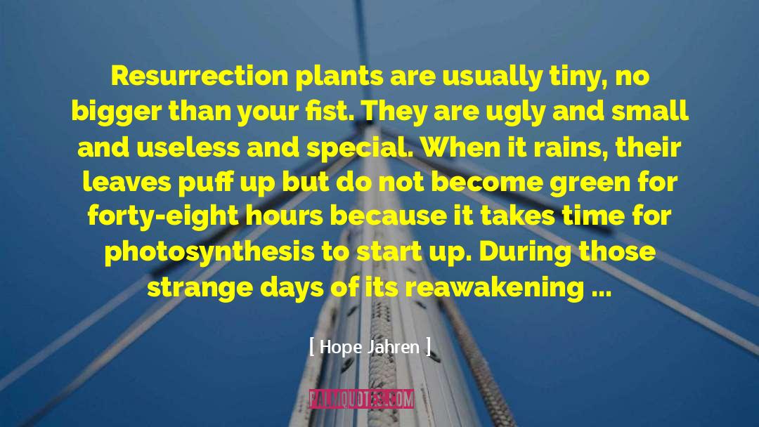 Reactants In Photosynthesis quotes by Hope Jahren