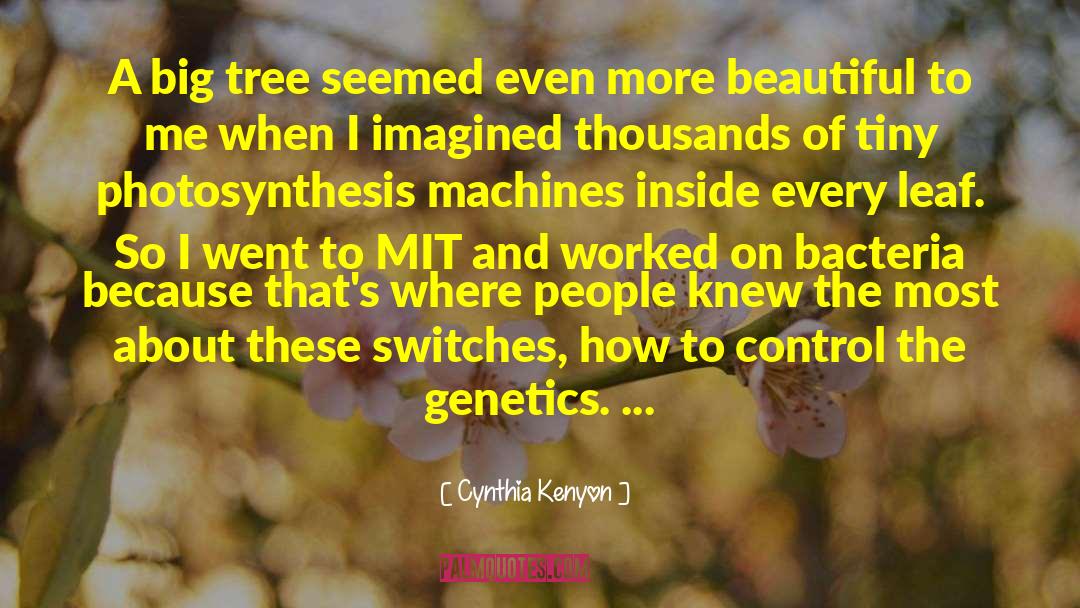 Reactants In Photosynthesis quotes by Cynthia Kenyon