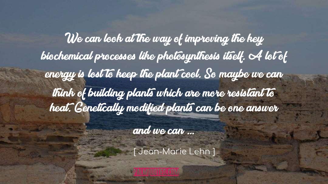 Reactants In Photosynthesis quotes by Jean-Marie Lehn