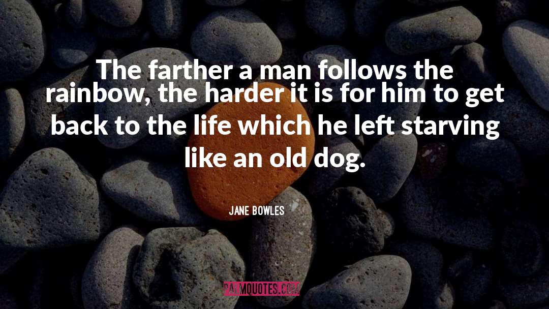 Reactive Dog quotes by Jane Bowles