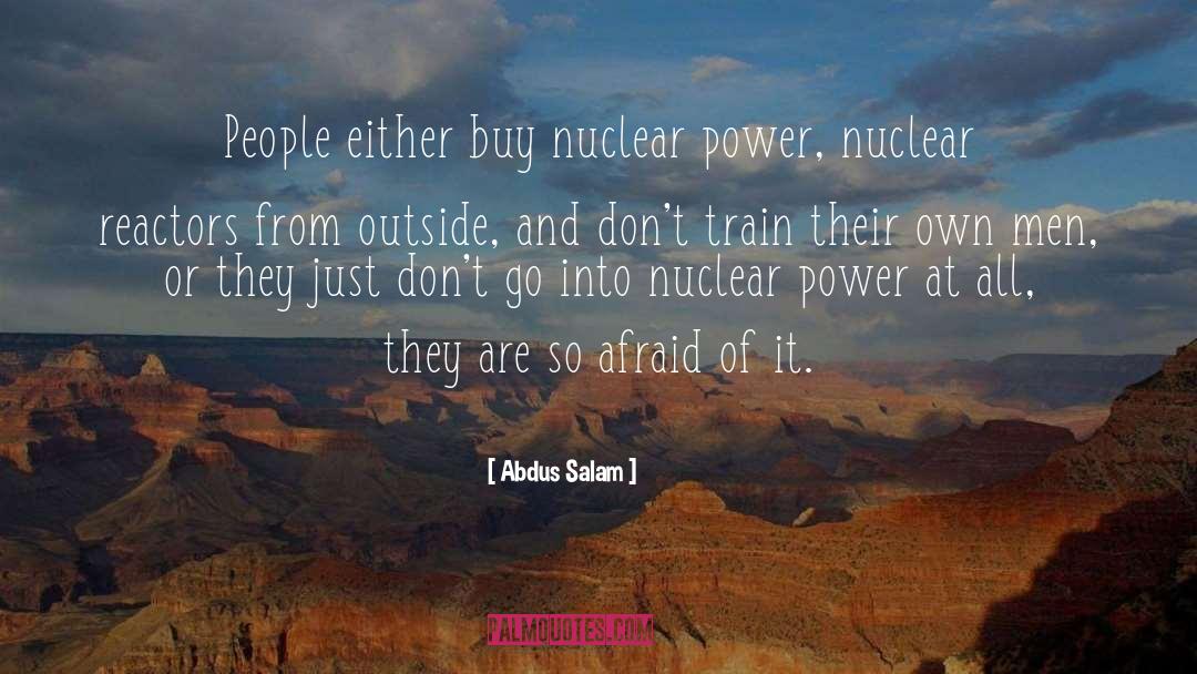Reactors quotes by Abdus Salam