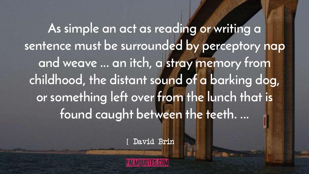 Reading Or Writing quotes by David Brin