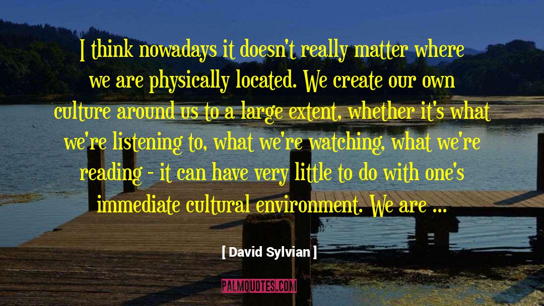 Reading Thinking quotes by David Sylvian