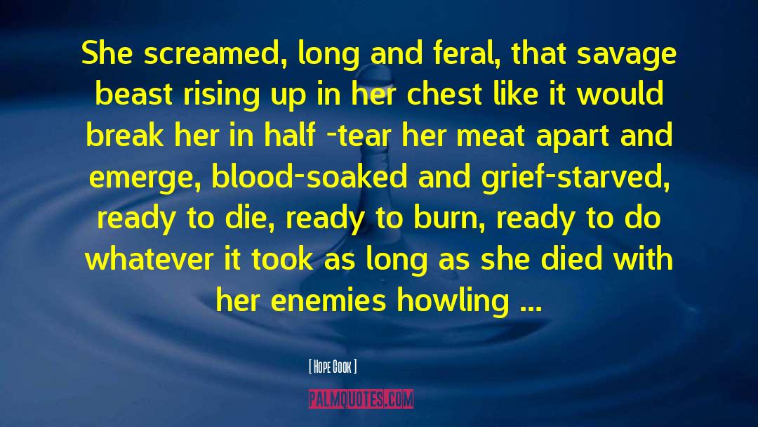 Ready To Die quotes by Hope Cook