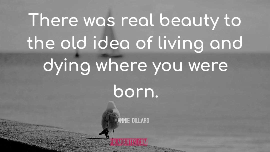 Real Beauty quotes by Annie Dillard
