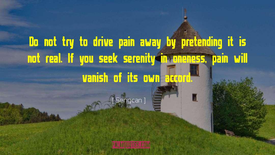 Real Christianity quotes by Sengcan
