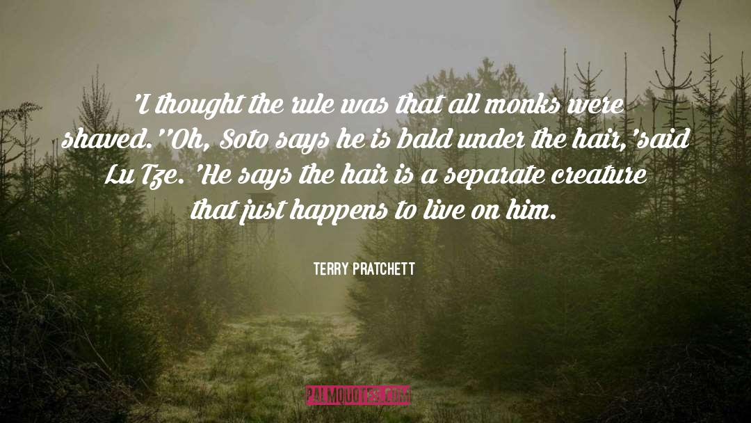 Real Hair quotes by Terry Pratchett