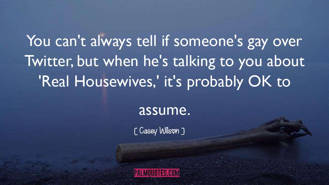 Real Housewives quotes by Casey Wilson