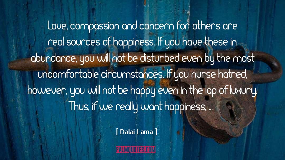 Real Leadership quotes by Dalai Lama