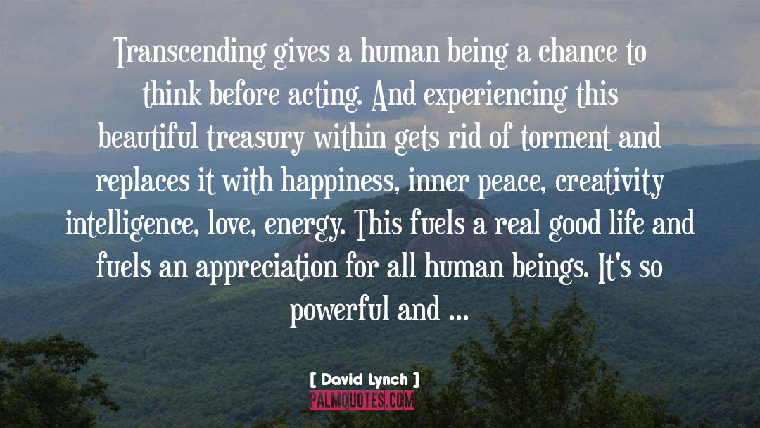 Real Life Experiences quotes by David Lynch