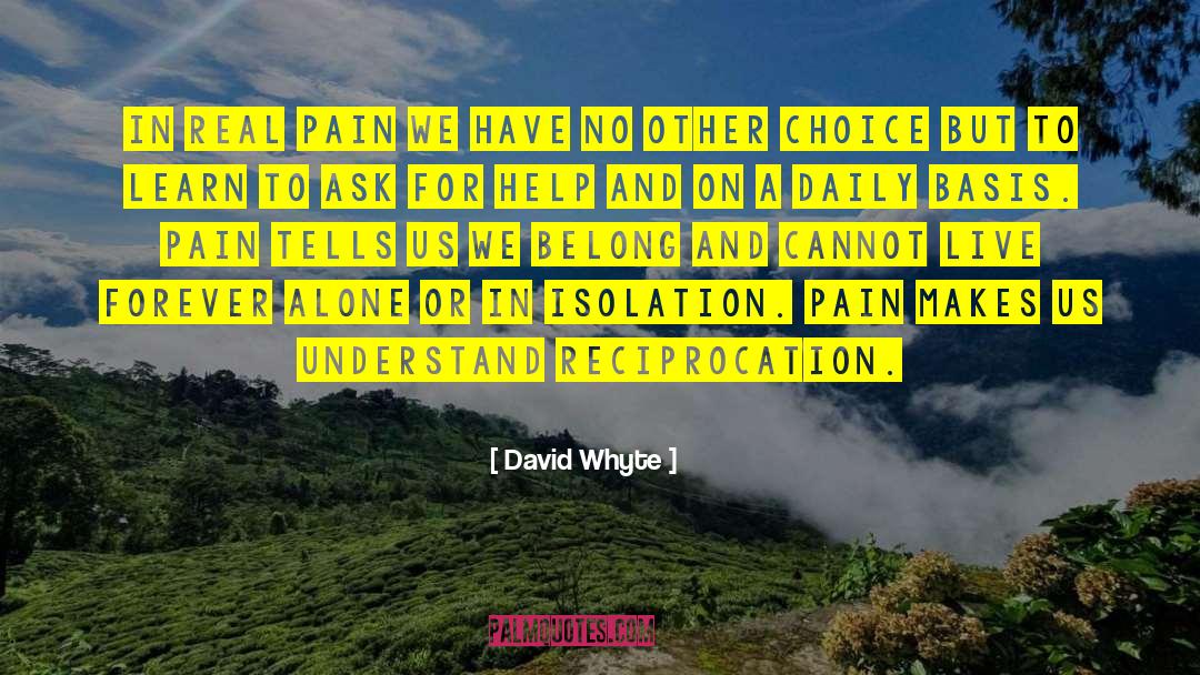 Real Pain quotes by David Whyte