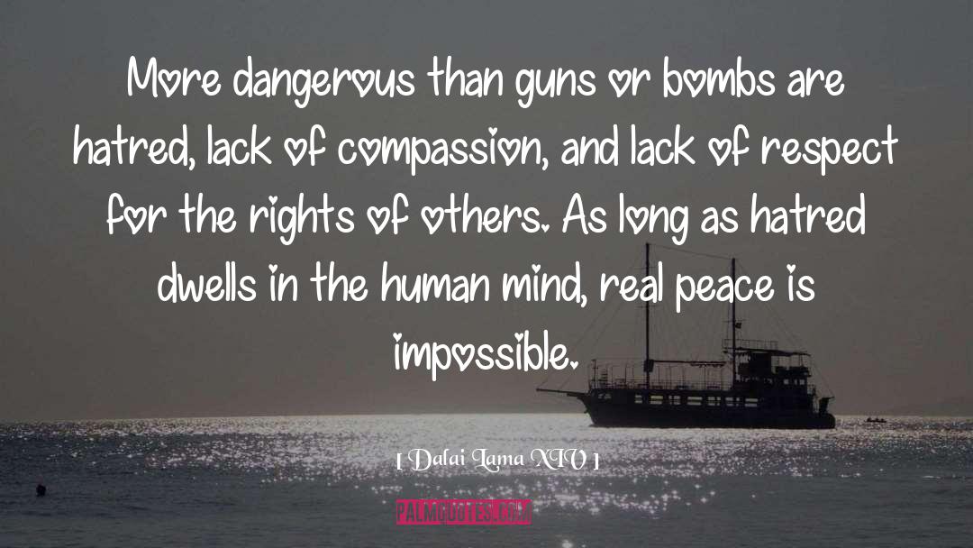 Real Peace quotes by Dalai Lama XIV