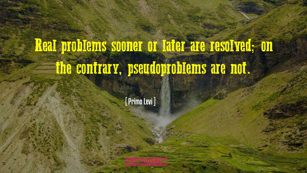 Real Problems quotes by Primo Levi