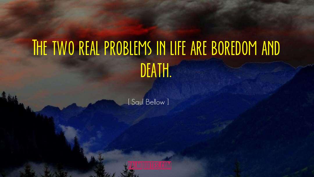 Real Problems quotes by Saul Bellow