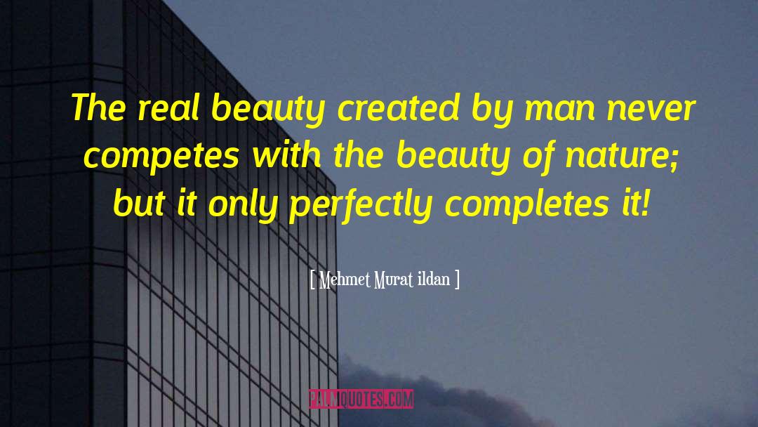 Real Reflective Equilibrium quotes by Mehmet Murat Ildan