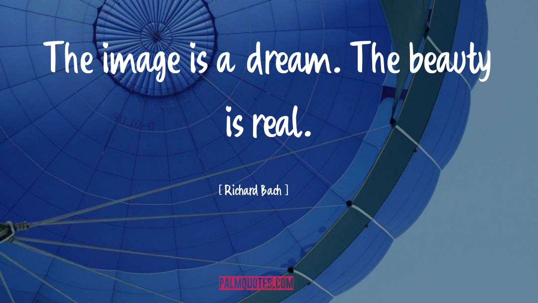 Real Success quotes by Richard Bach