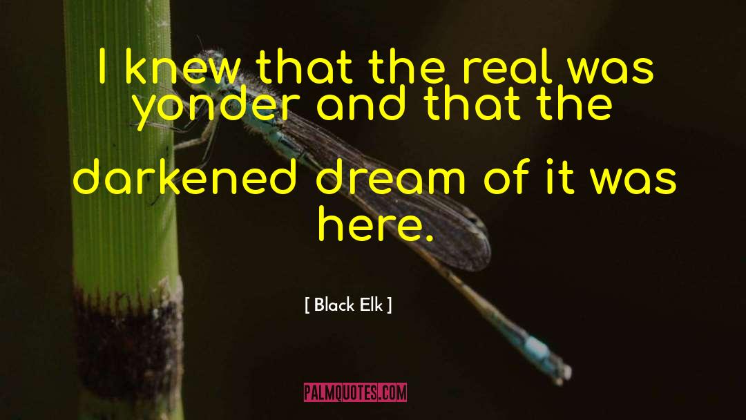 Real Talent quotes by Black Elk