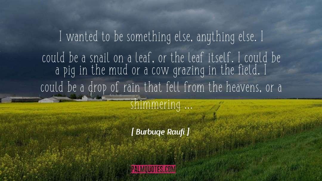 Realistic Fiction quotes by Burbuqe Raufi