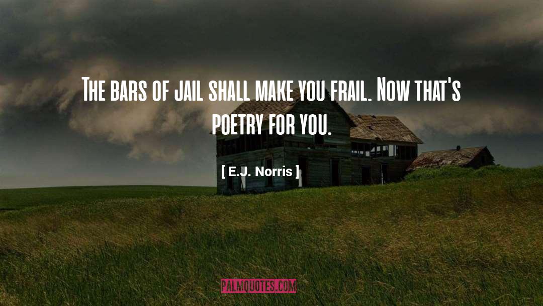 Realistic Poetry quotes by E.J. Norris