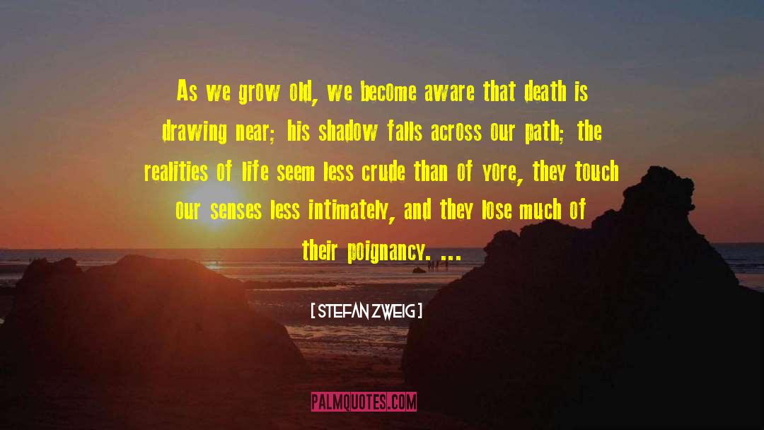 Realities Of Life quotes by Stefan Zweig
