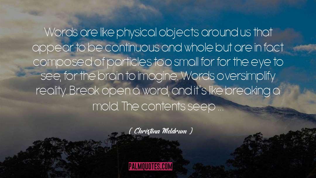 Reality Bothered quotes by Christina Meldrum