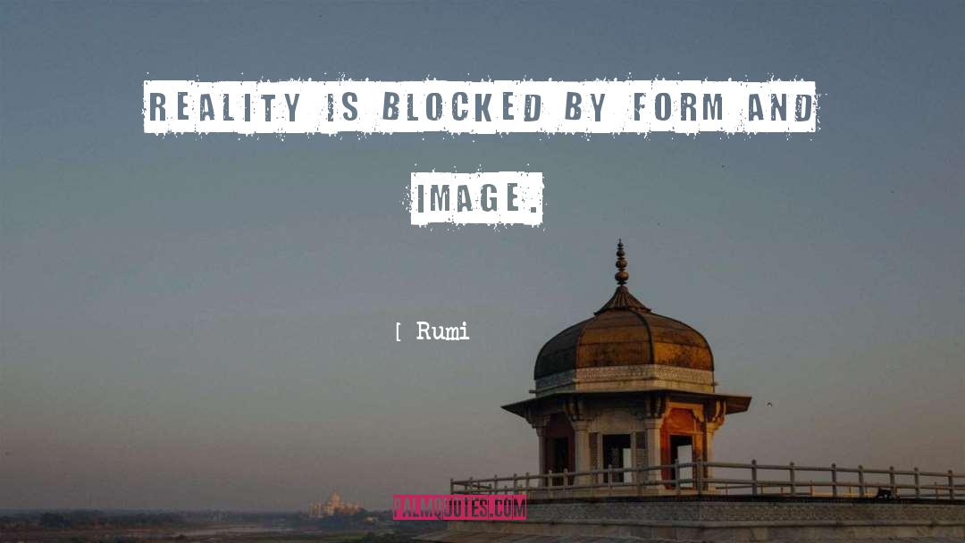 Reality Checks quotes by Rumi