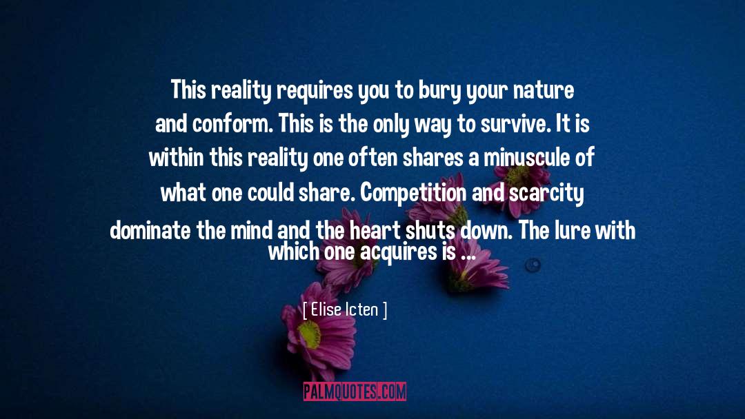 Reality quotes by Elise Icten