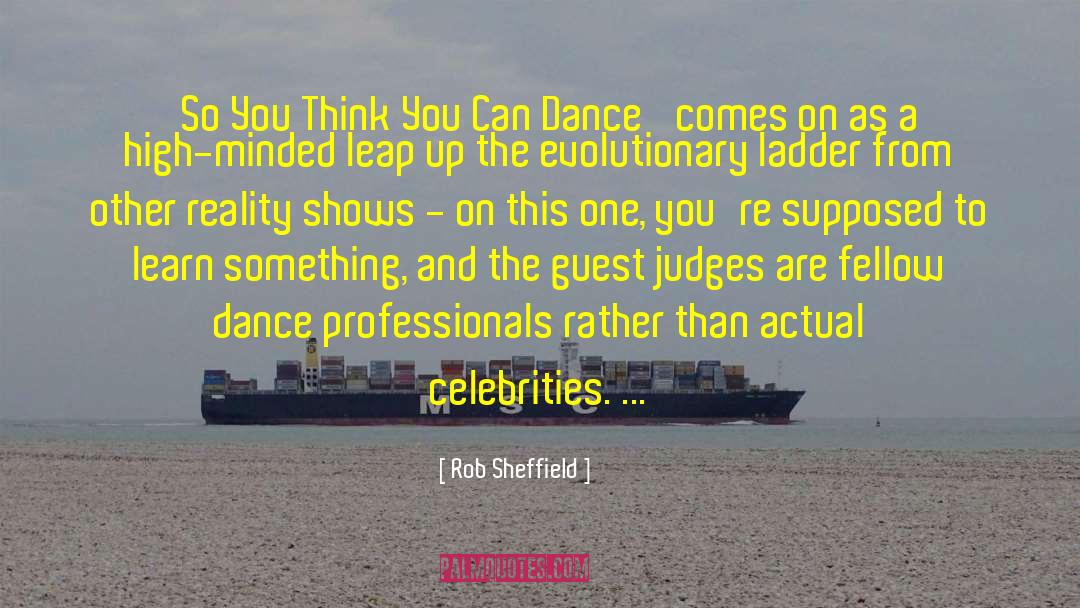 Reality Shows quotes by Rob Sheffield