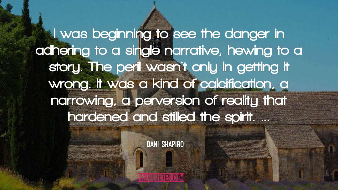 Reality Story quotes by Dani Shapiro