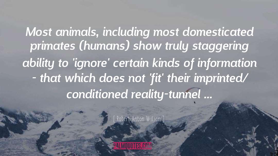 Reality Tunnels quotes by Robert Anton Wilson