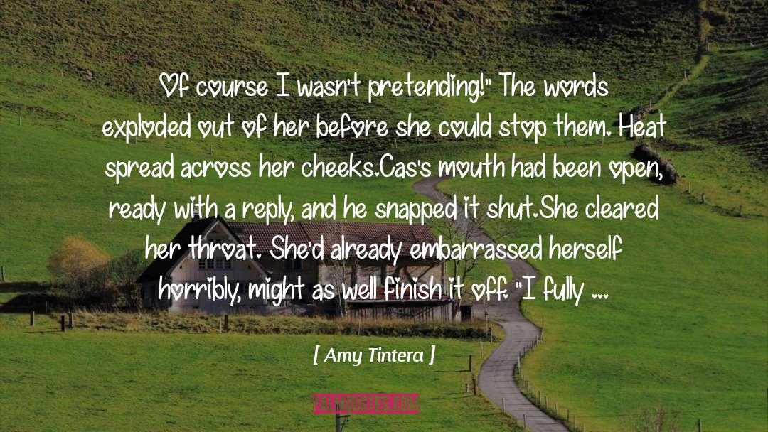 Realization Of A Plan quotes by Amy Tintera