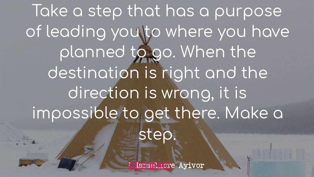 Realization Of A Plan quotes by Israelmore Ayivor