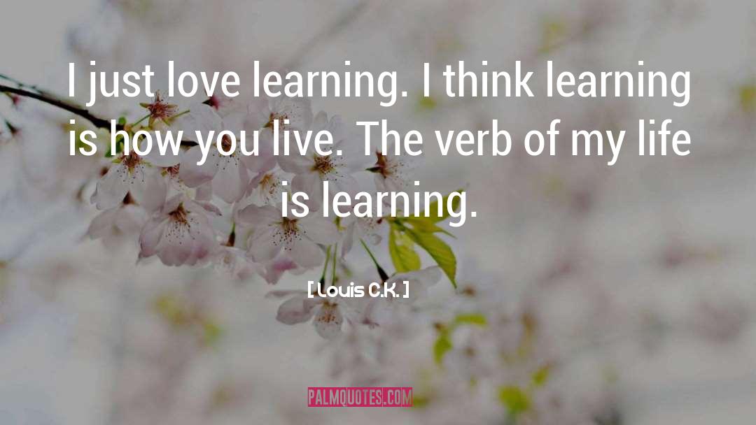 Realize How Ephemeral My Life Is quotes by Louis C.K.