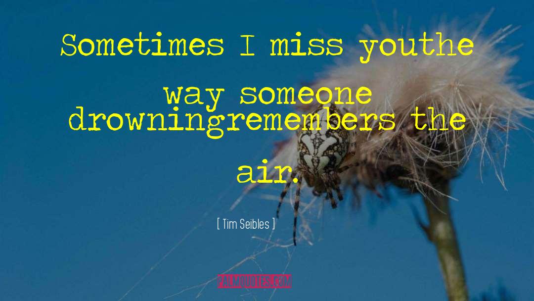 Realizing You Miss Someone quotes by Tim Seibles