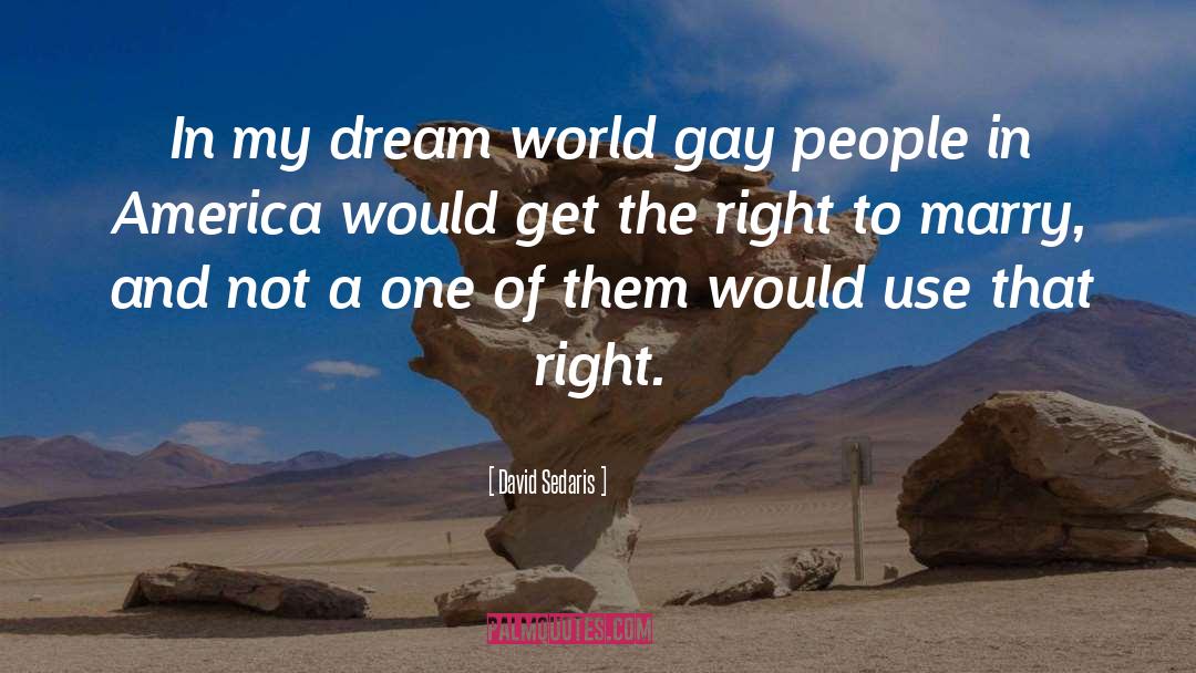 Really Gay quotes by David Sedaris