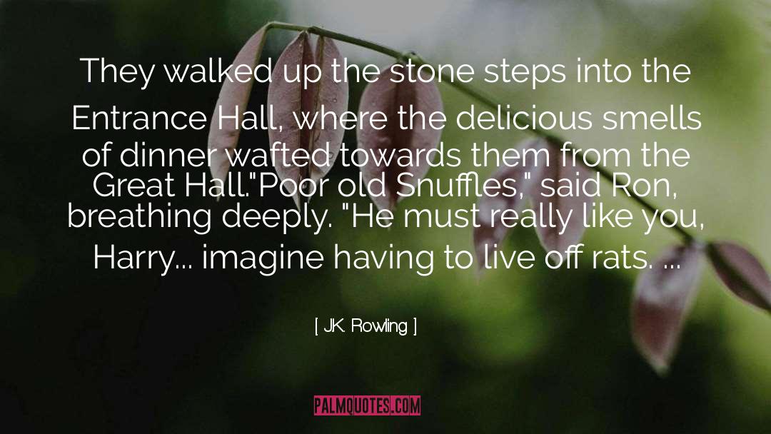 Really Like You quotes by J.K. Rowling