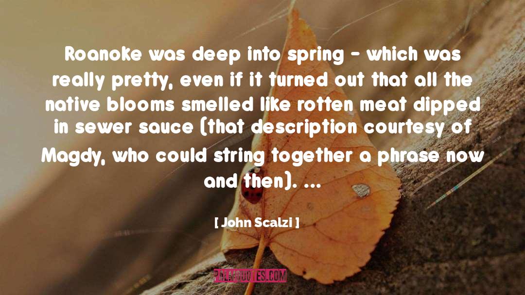 Really Pretty quotes by John Scalzi