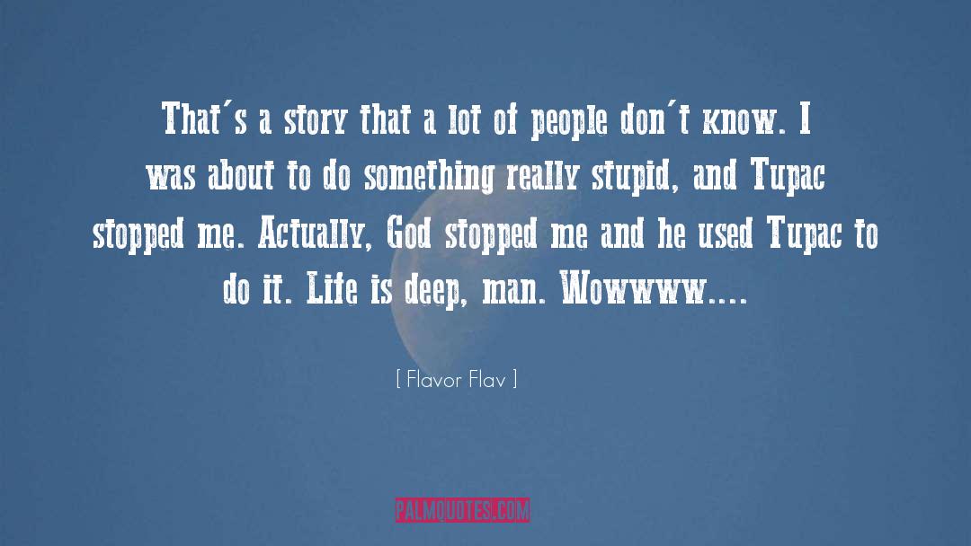 Really Stupid quotes by Flavor Flav