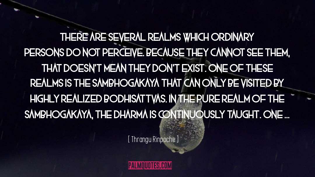 Realm Of Possibility quotes by Thrangu Rinpoche