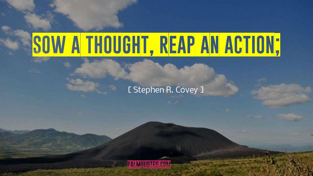 Reap quotes by Stephen R. Covey