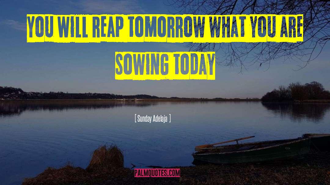 Reap What You Sew quotes by Sunday Adelaja