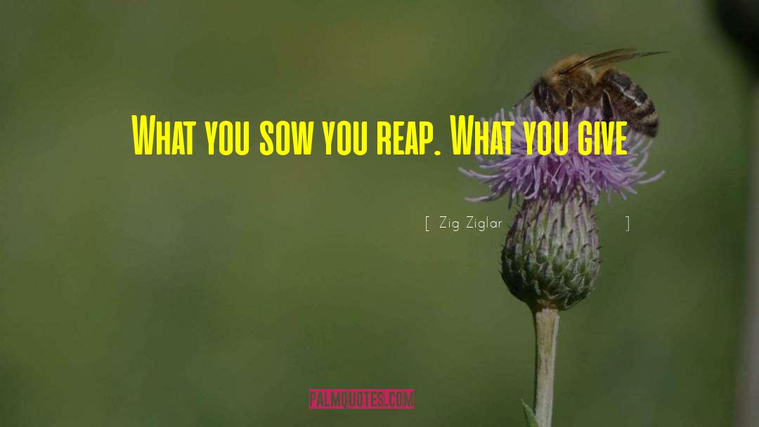 Reap What You Sew quotes by Zig Ziglar