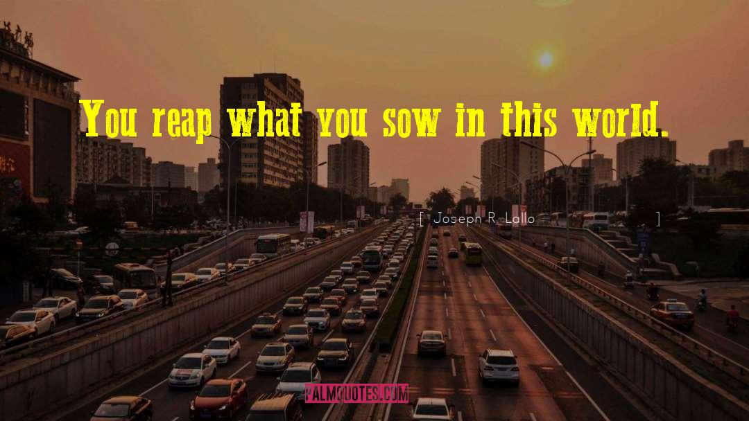 Reap What You Sew quotes by Joseph R. Lallo