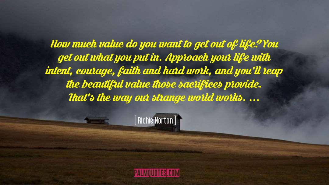 Reap What You Sow quotes by Richie Norton