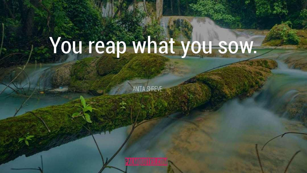 Reap What You Sow quotes by Anita Shreve