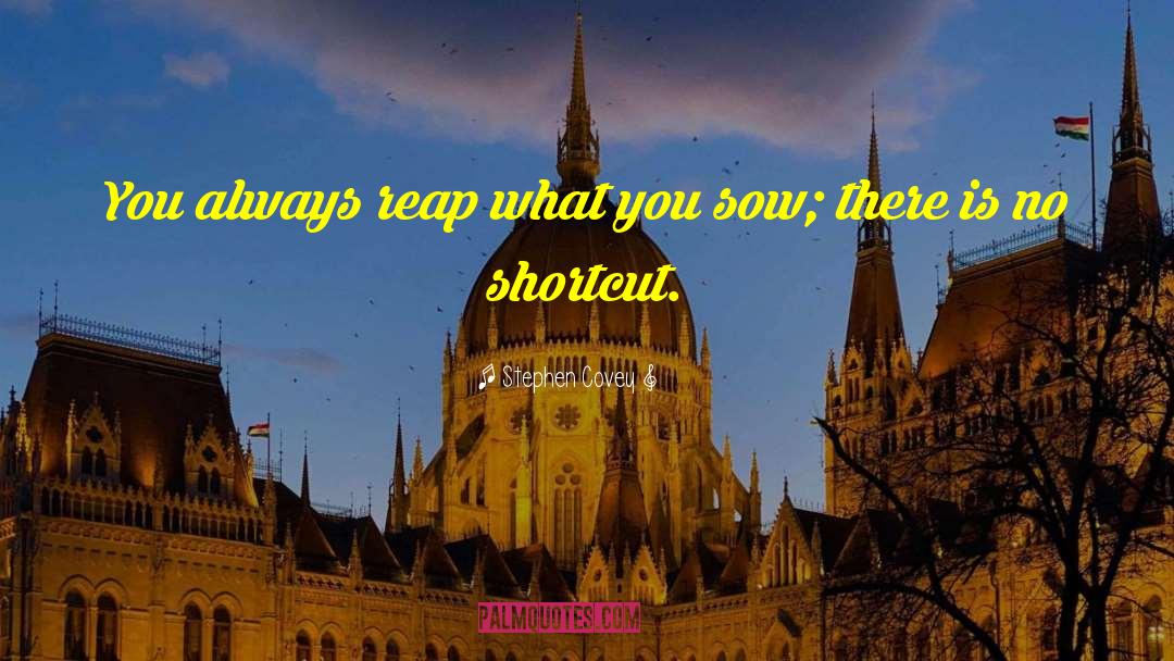 Reap What You Sow quotes by Stephen Covey